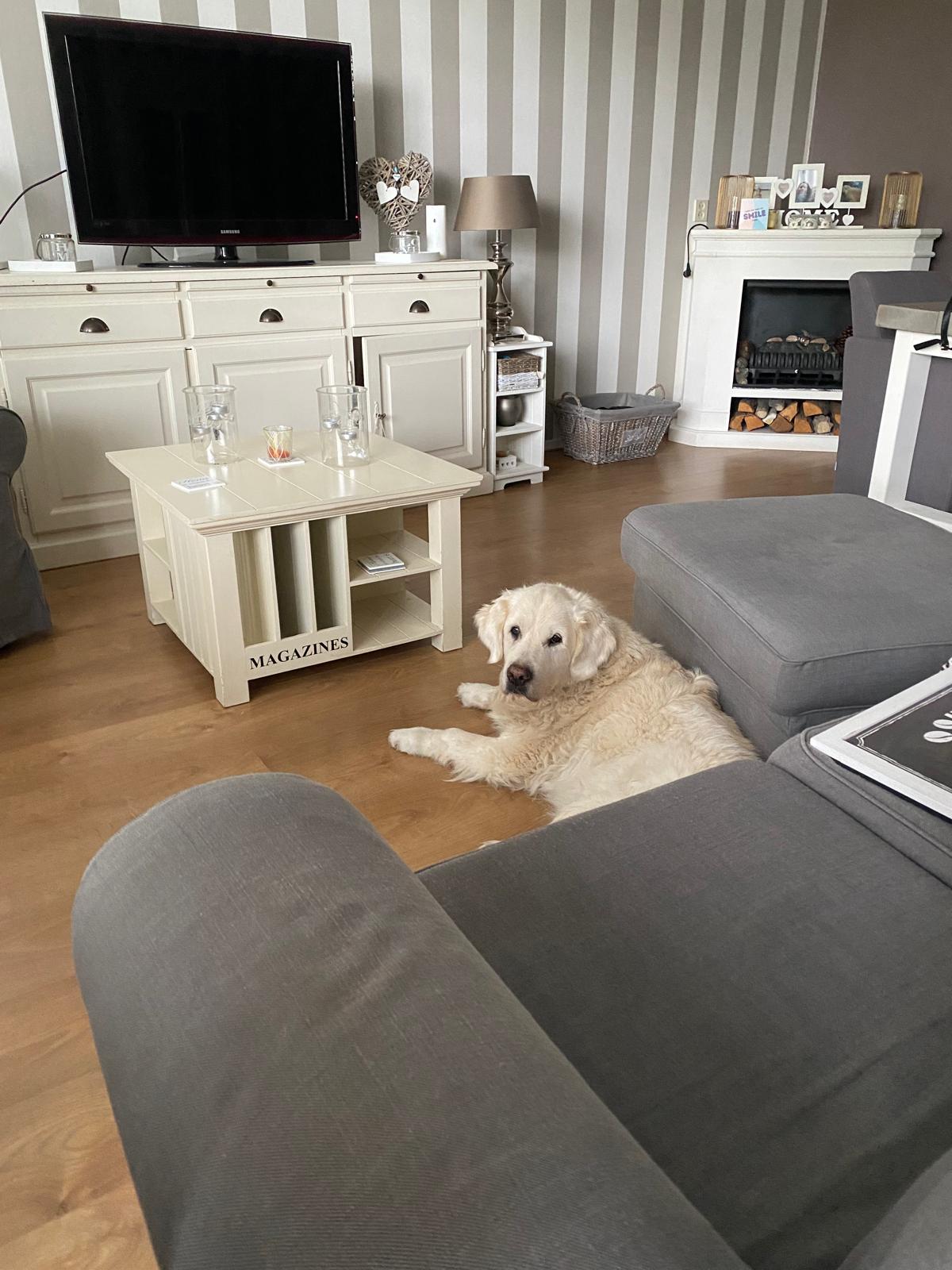 /userfiles/images/anecdotes/6946a0cdc0990_WhatsApp Image 2025-12-20 at 14.04.25.jpeg